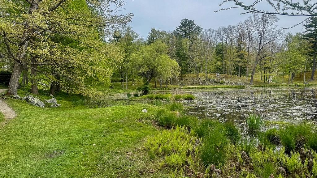 Uferweg mit Feuchtgebiet und Blick über den Tyrrel Lake im Innisfree Garden.