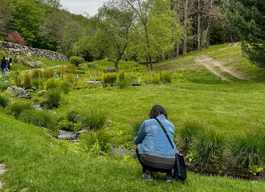 Besucherin fotografiert einen naturnahen Bachlauf im Innisfree Garden bei Millbrook im Hudson Valley.