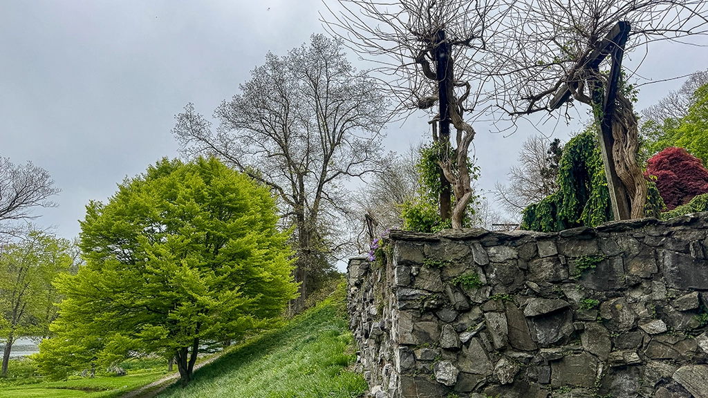 Natursteinmauer mit Pergola und frühlingsgrünem Baum im Innisfree Garden bei Millbrook.