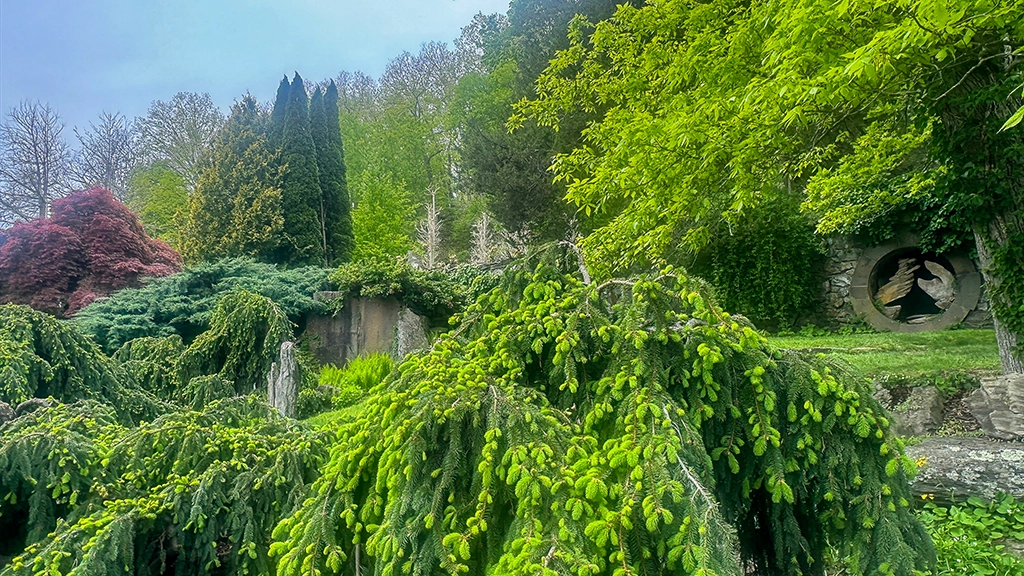 Immergrüne Gehölze und Naturstein im Innisfree Garden mit einer kreisförmigen Skulptur im Hintergrund.