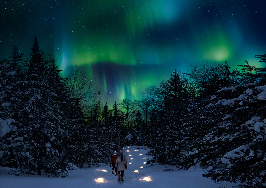 Nordlichter über einem verschneiten Waldweg bei Lutsen an der North Shore in Minnesota.