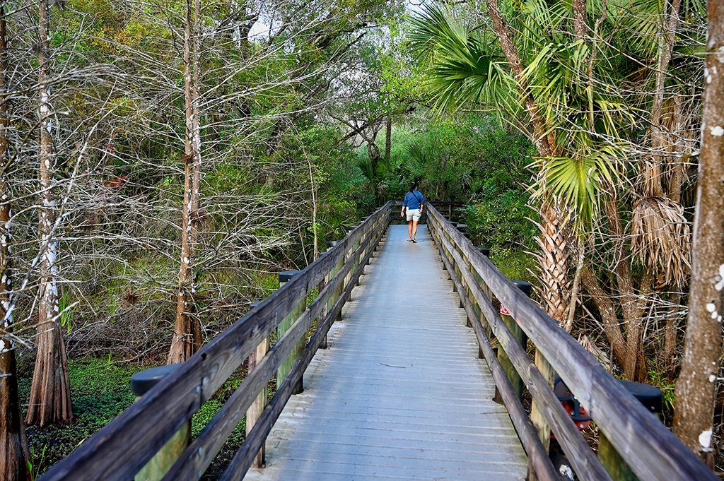 Holzsteg durch das Six Mile Cypress Slough Preserve bei Fort Myers.