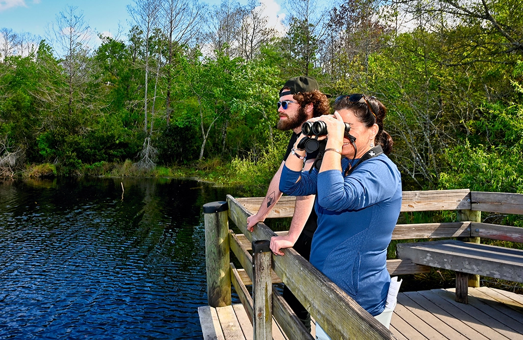 Besucher beobachten mit Ferngläsern die Tierwelt im Six Mile Cypress Slough Preserve.