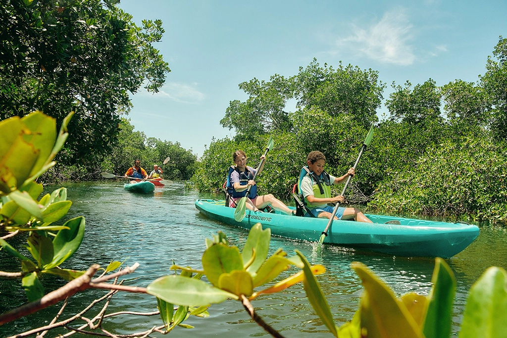 Kajakfahrer paddeln durch Mangrovenkanäle des Great Calusa Blueway bei Fort Myers.