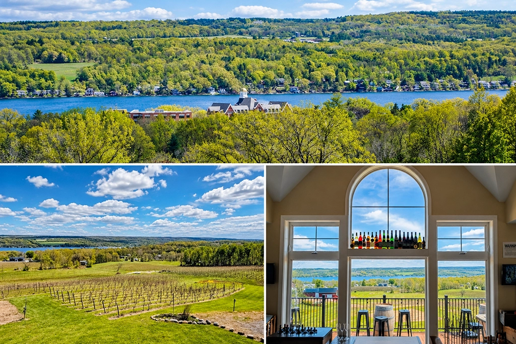 Keuka Lake, Weinberge und Blick aus dem Tasting Room der Vineyard View Winery in den Finger Lakes, New York State.