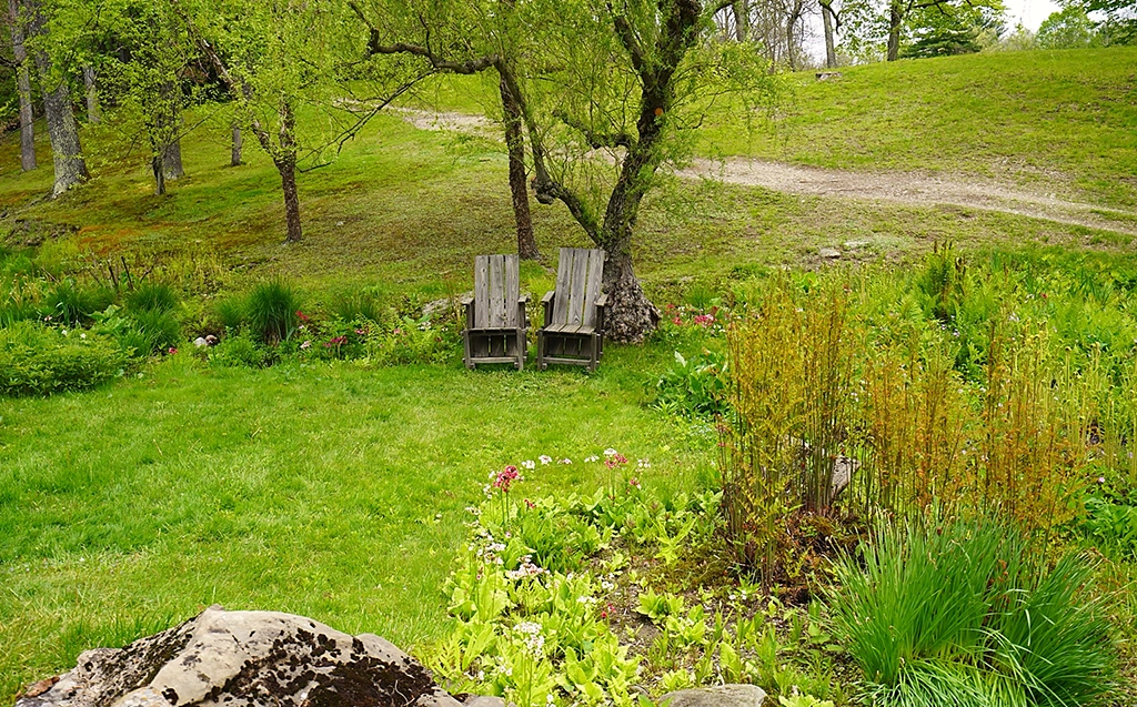Zwei Adirondack Chairs unter einem Baum im grünen Innisfree Garden bei Millbrook