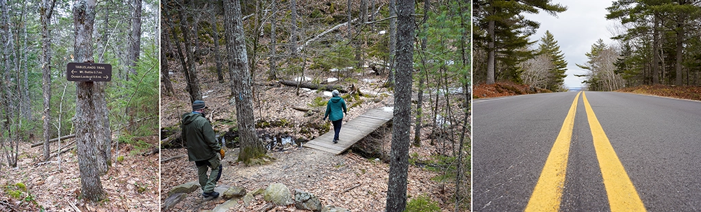 Collage einer Wanderung im Camden Hills State Park in Maine mit Wanderweg durch den Wald, Holzsteg über einen Bach und asphaltierter Straße zum Mount Battie.