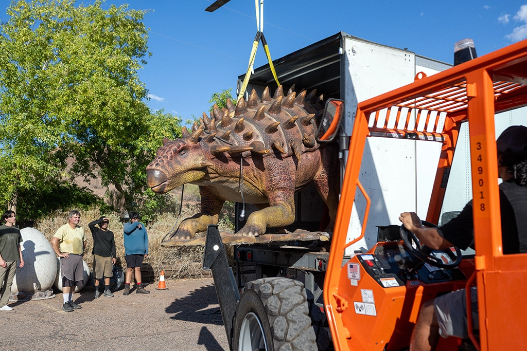 Lebensgroßes Ankylosaurus-Modell wird mit einem Gabelstapler für die Dinosaurier-Ausstellung im Phoenix Zoo in Arizona entladen.