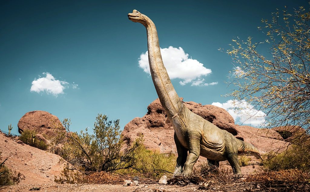 Lebensgroßes Modell eines langhalsigen Dinosauriers in der Wüstenlandschaft des Phoenix Zoo in Arizona.