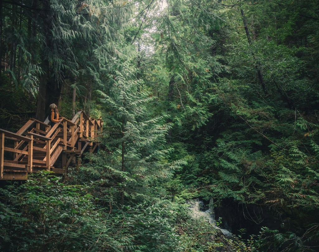Wanderin auf einer Holztreppe inmitten des dichten Küstenregenwalds im Clayoquot Sound auf Vancouver Island, British Columbia