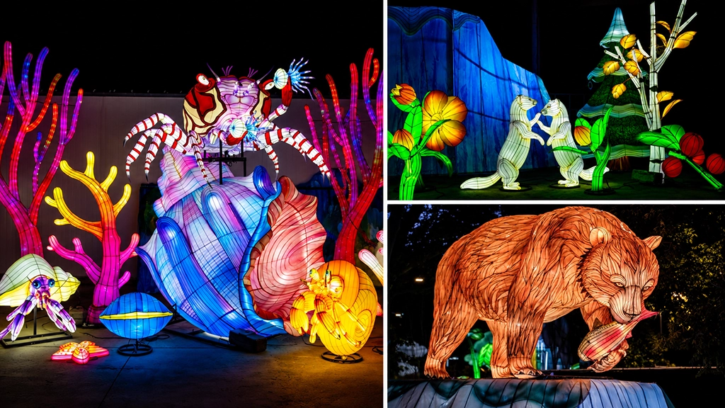 WildLanterns im Woodland Park Zoo in Seattle: Leuchtende Tierfiguren mit einer Unterwasserwelt, zwei Ottern und einem Bären mit Fisch.